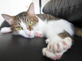 IMG05747.jpg