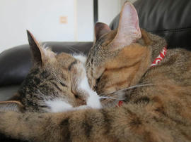IMG05755.jpg