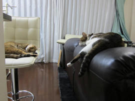 IMG05756.jpg