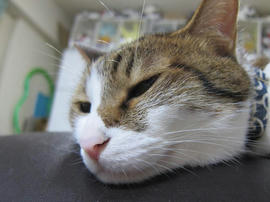 IMG05759.jpg
