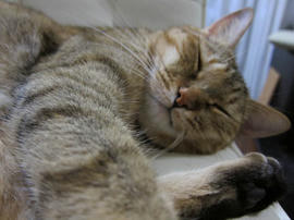 IMG05760.jpg