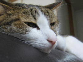 IMG05763.jpg