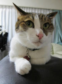 IMG05764.jpg