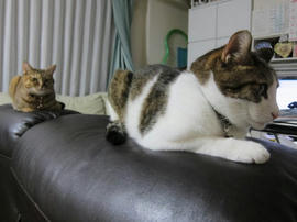 IMG05766.jpg