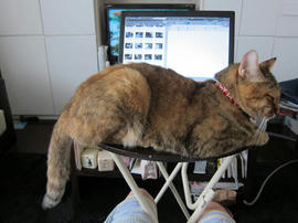 IMG05767.jpg