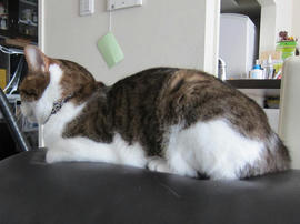 IMG05771.jpg