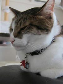 IMG05772.jpg