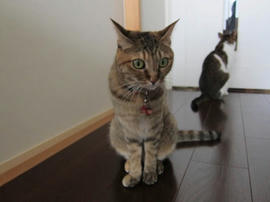 IMG05773.jpg