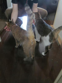 IMG05778.jpg
