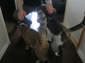 IMG05779.jpg