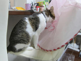 IMG05780.jpg