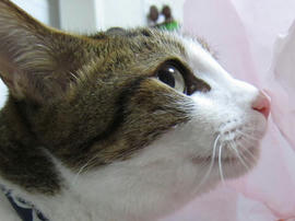 IMG05781.jpg