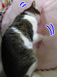IMG05783.jpg