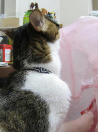IMG05785.jpg