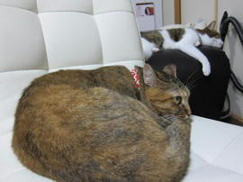 IMG05788.jpg