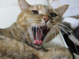 IMG05789.jpg
