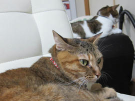 IMG05792.jpg