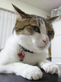 IMG05794.jpg