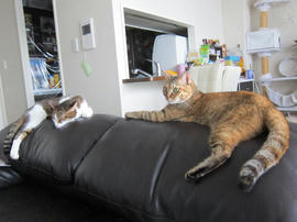 IMG05795.jpg
