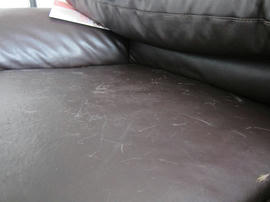 IMG05796.jpg