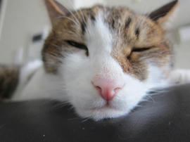 IMG05798.jpg