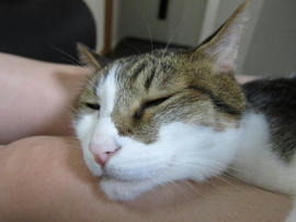 IMG05800.jpg