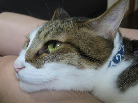IMG05803.jpg
