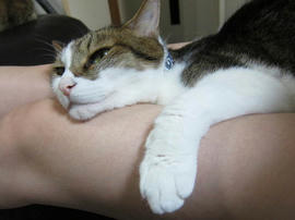 IMG05804.jpg