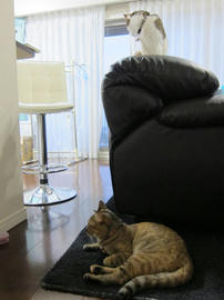 IMG05806.jpg