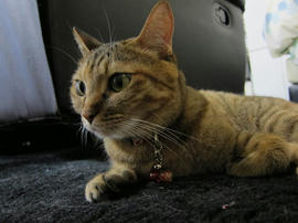 IMG05807.jpg