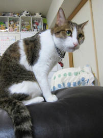 IMG05811.jpg