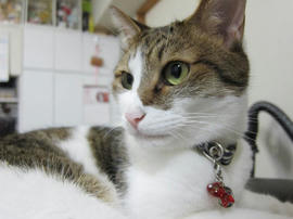 IMG05814.jpg
