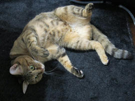 IMG05815.jpg