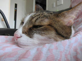 IMG05821.jpg