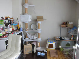 IMG05825.jpg
