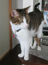 IMG05826.jpg