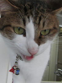 IMG05828.jpg