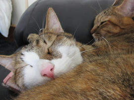 IMG05834.jpg