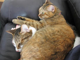 IMG05835.jpg