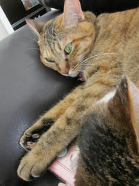 IMG05836.jpg