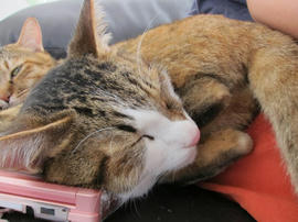 IMG05837.jpg