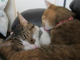 IMG05838.jpg
