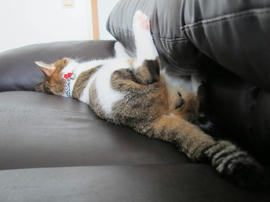IMG05841.jpg