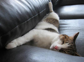 IMG05843.jpg