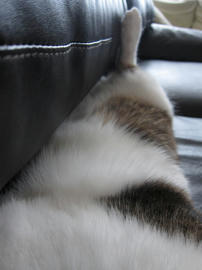 IMG05845.jpg