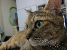 IMG05849.jpg