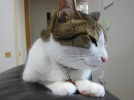 IMG05850.jpg