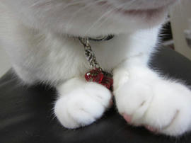 IMG05851.jpg