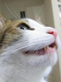 IMG05853.jpg