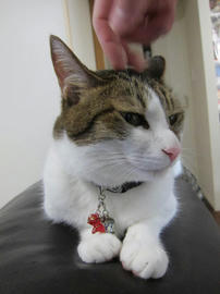 IMG05854.jpg